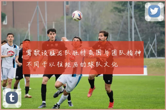 莺歌谈猛龙队独特氛围与团队精神不同于以往经历的球队文化