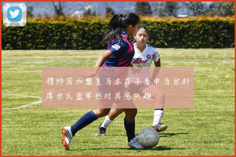 穆帅若加盟皇马本菲卡看中马尔科席尔瓦蓝军也对其感兴趣